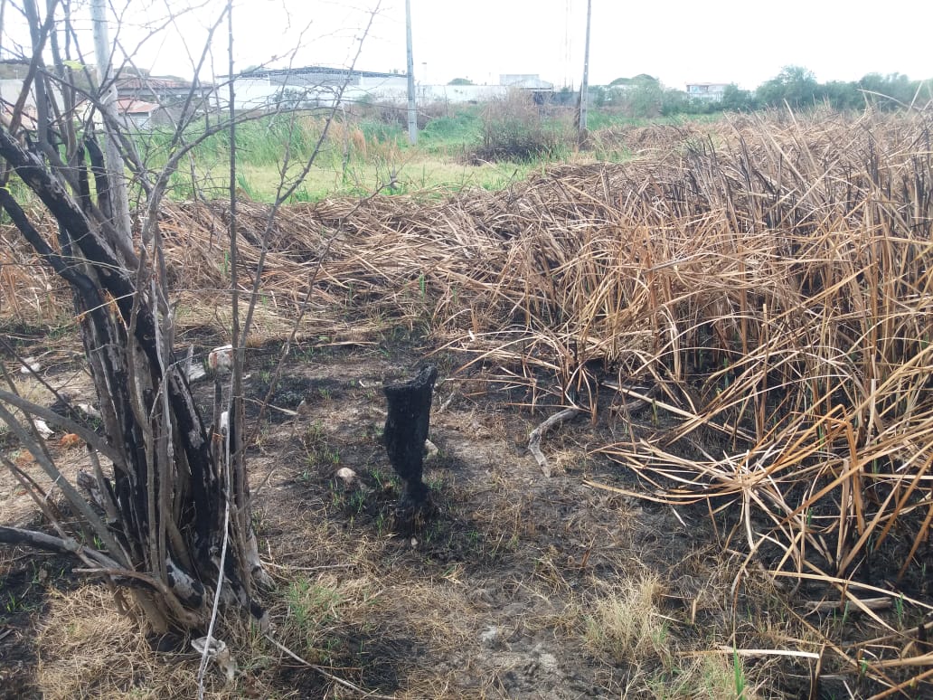 Corpo de Bombeiros alerta para risco de incêndios em vegetação nativa