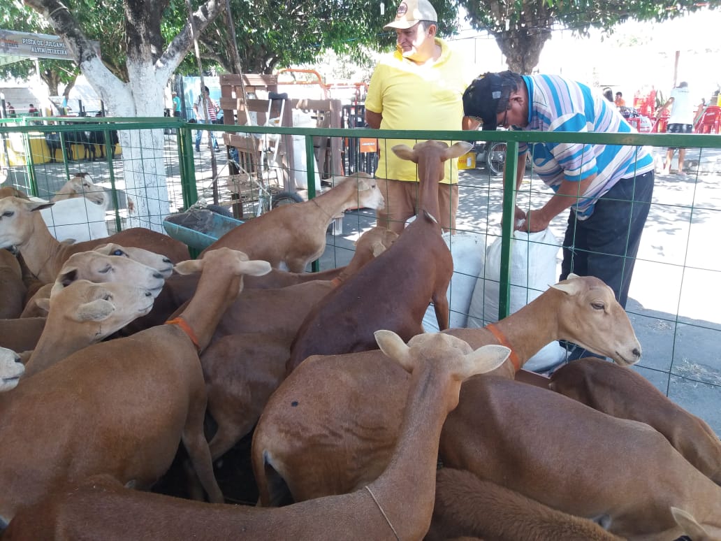 EXPOIGUATU mobiliza setor agropecuário com R$ 12 mi em negócios