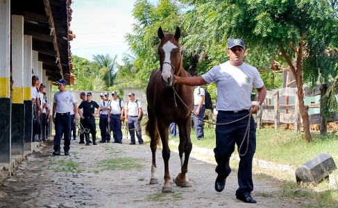 Batalhão de Iguatu anuncia chegada de policiamento montado