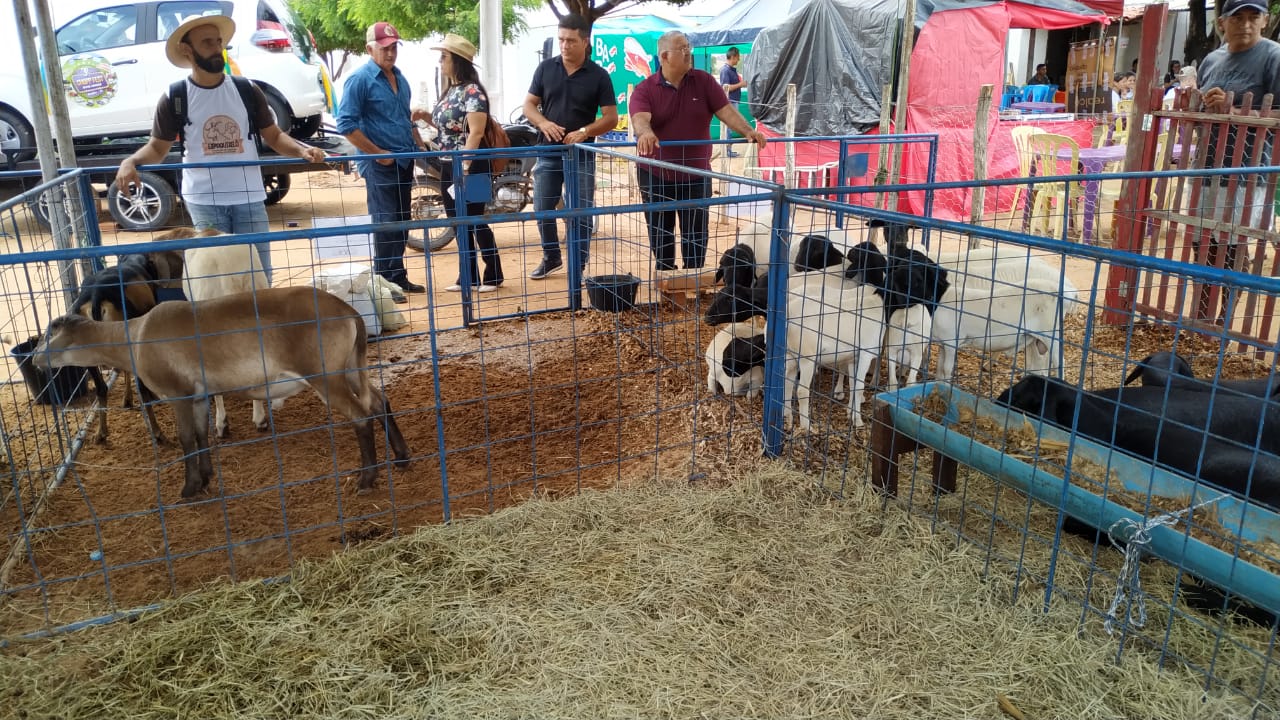 Quixelô realiza primeira I Exposição Agropecuária