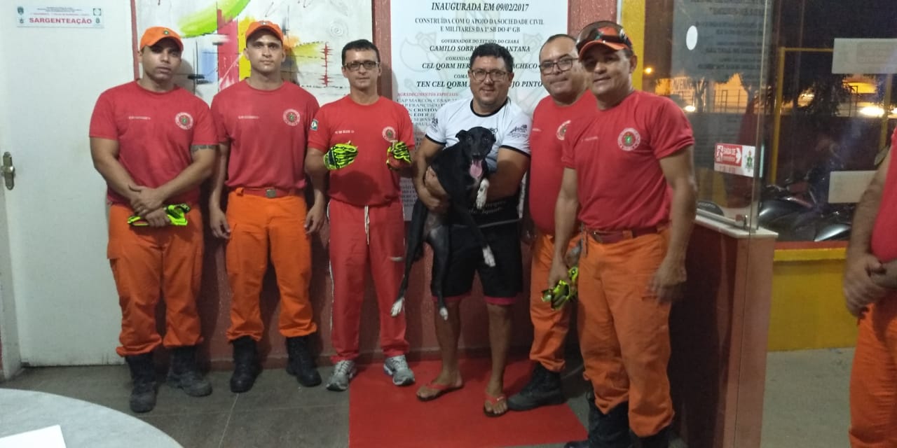 Bombeiros salvam cadela que prendeu osso no focinho