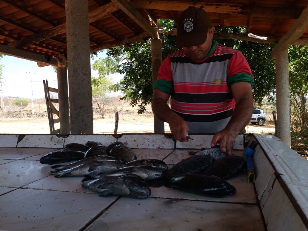 Seca afeta a produção de peixes em cativeiro