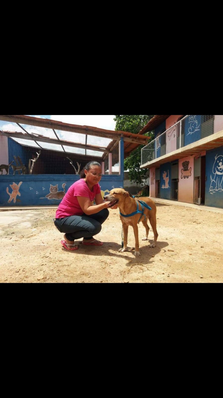 Casal abandona cadela em porta de ONG e foge