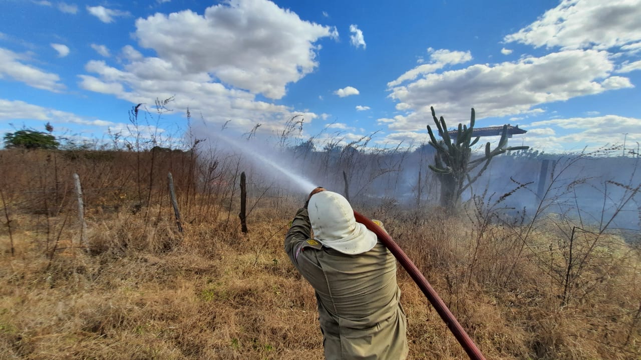 Ocorrências de incêndios aumentam na primeira semana de agosto