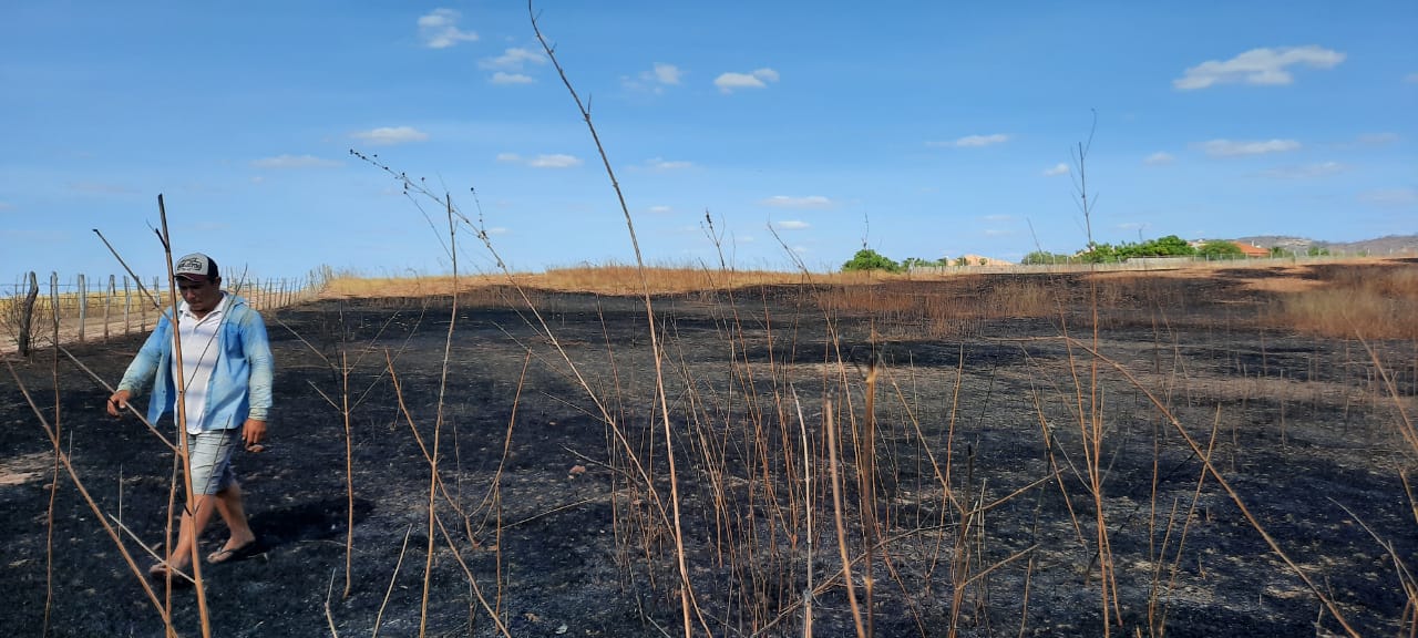 Queimadas destroem áreas de vegetação e de pasto