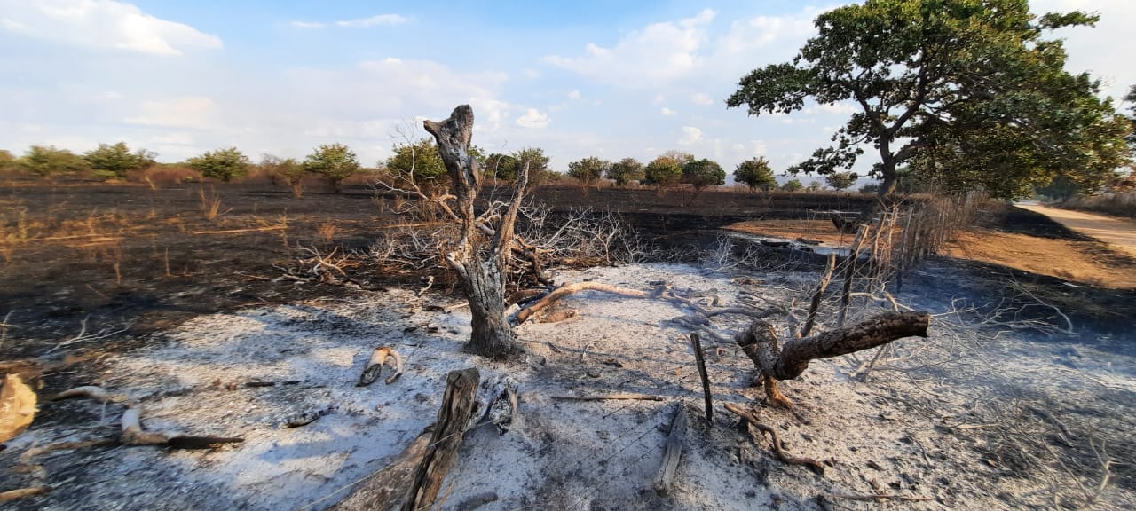 Incêndios em vegetação continuam sendo provocados em Iguatu