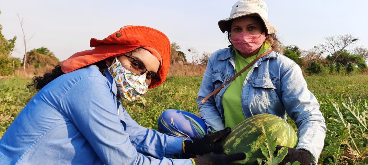 Em Iguatu, mais de 40% dos agricultores que fornecem alimentos para o PAA são mulheres