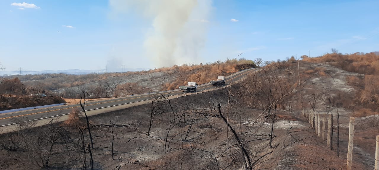 Incêndio atinge mais de mil hectares e deixa animais feridos