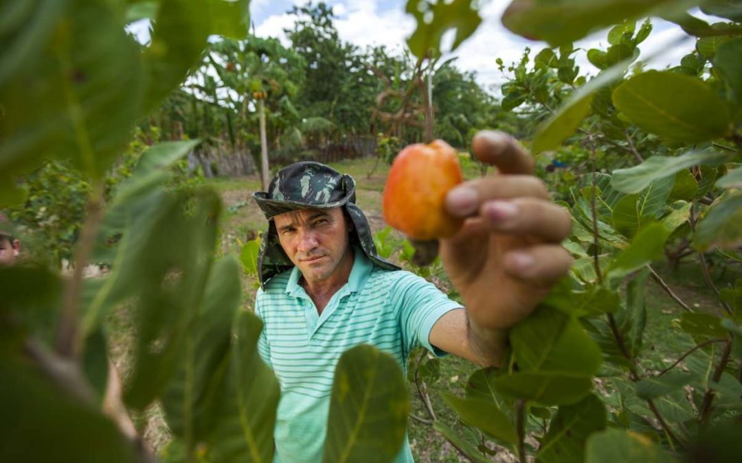 Projeto São José IV abre nova perspectiva para a agricultura familiar no interior do Ceará