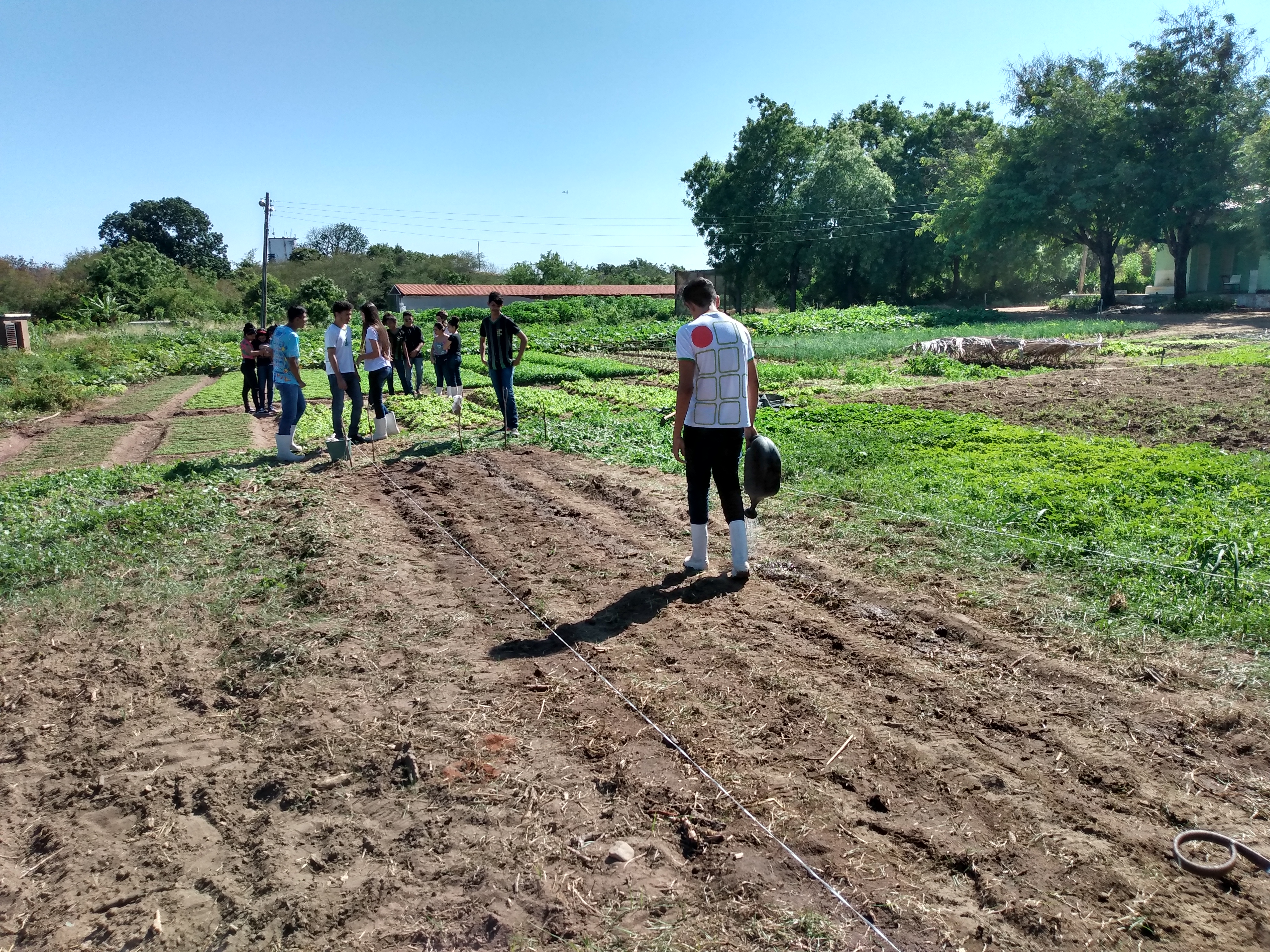 IFCE de Iguatu lança residência profissional para recém-egressos da área agrícola de todo Ceará