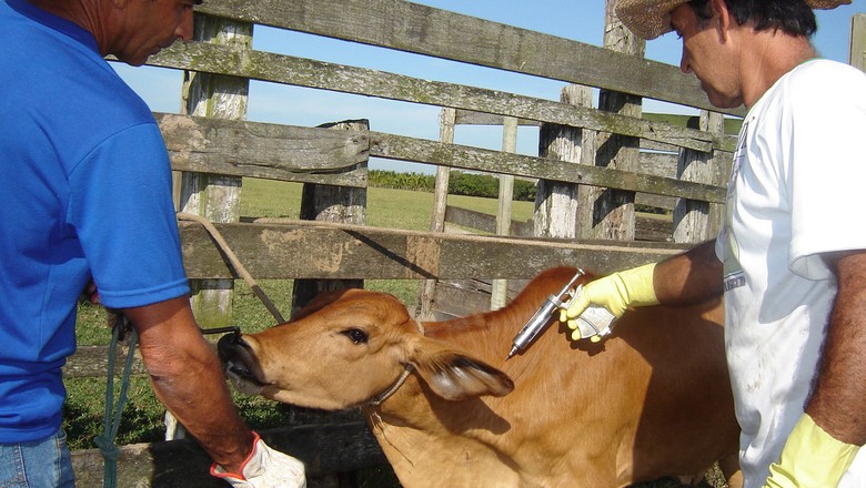 ADAGRI mobiliza produtores da região contra a febre aftosa