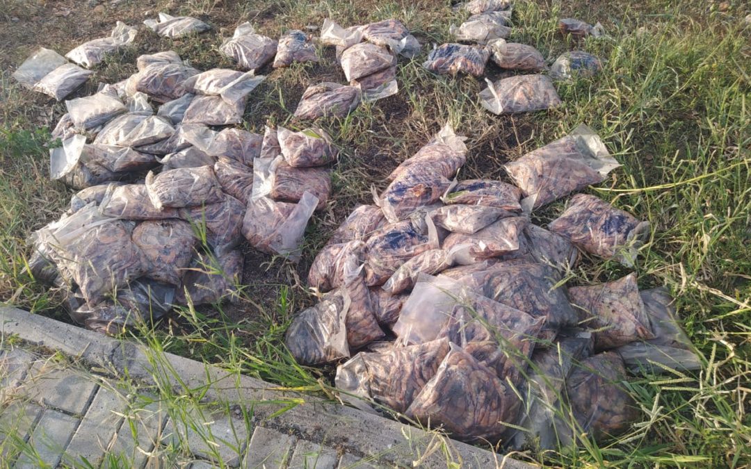 Usuário denuncia descarte de crustáceos em Avenida de Iguatu