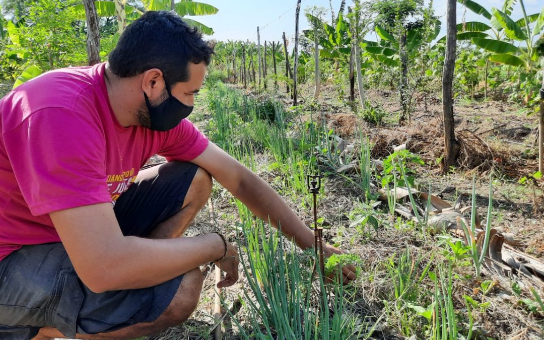 Projeto recupera áreas degradadas na zona rural de Iguatu através de sistema agroflorestal