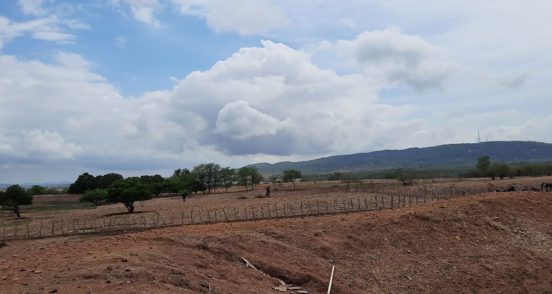 Agricultores esperam terra ficar molhada para iniciar o plantio