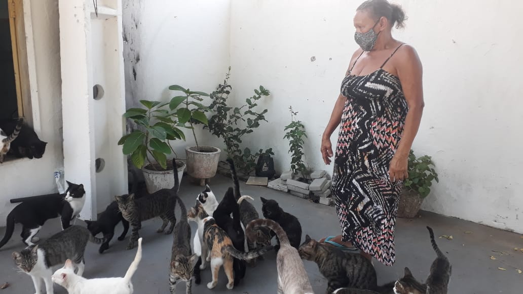 Maria Trindade mora no cemitério e cuida de 90 animais de rua