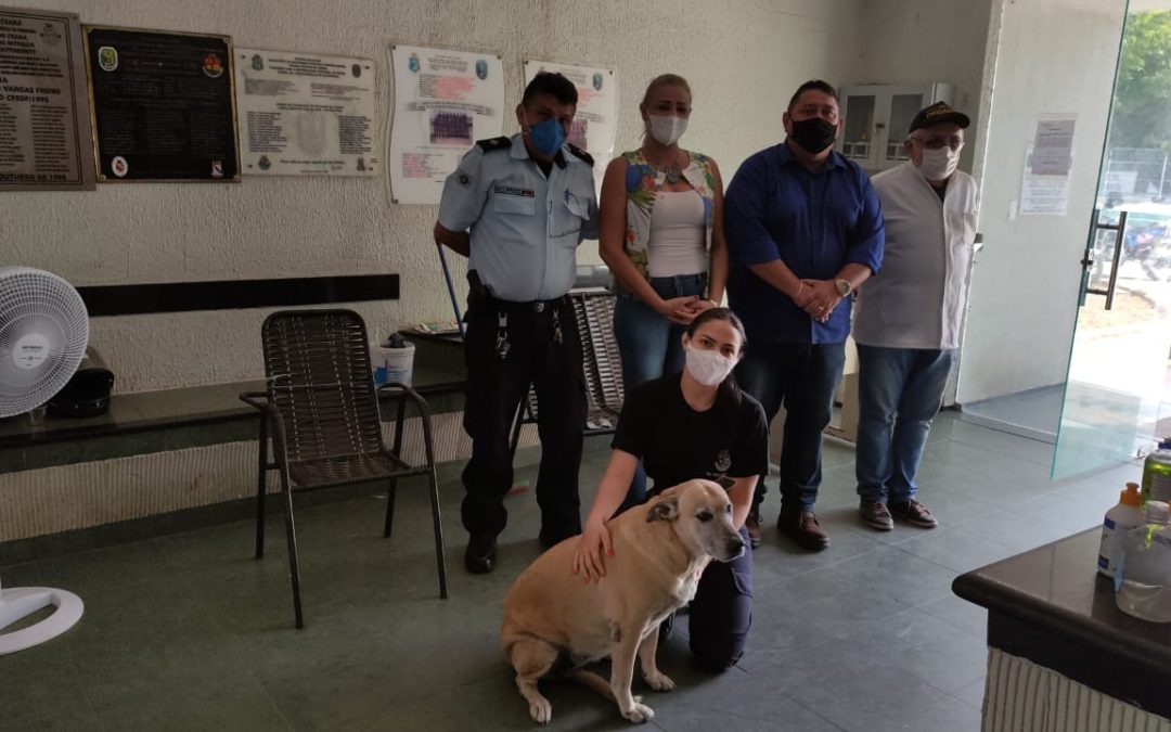 Cadela ‘Carminha’ recebe visita de equipe do Centro de Zoonoses