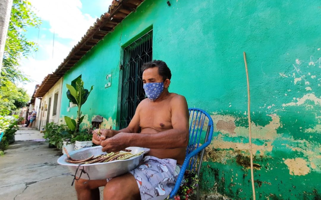 Chuvas proporcionam feijão-verde na mesa do agricultor