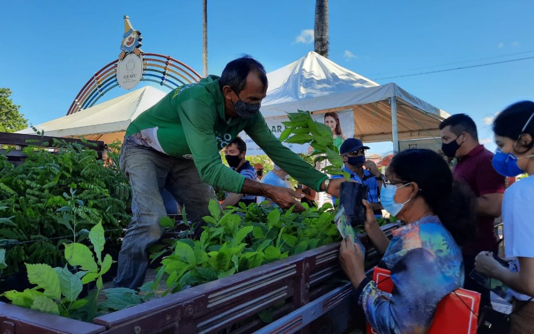 Secretaria do Meio Ambiente divulga programação alusiva a Dia da Árvore