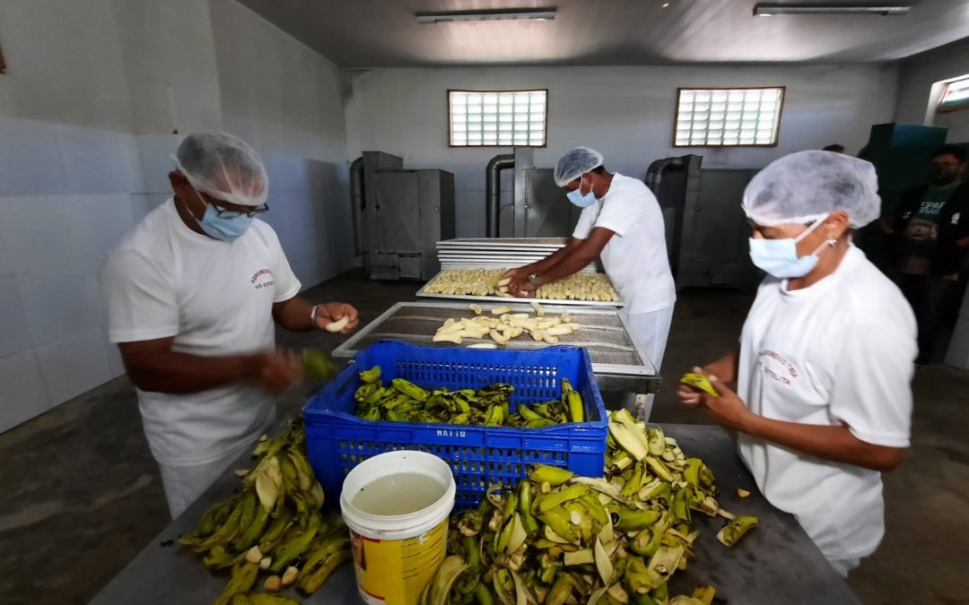 Produtor rural aposta na comercialização da banana desidratada