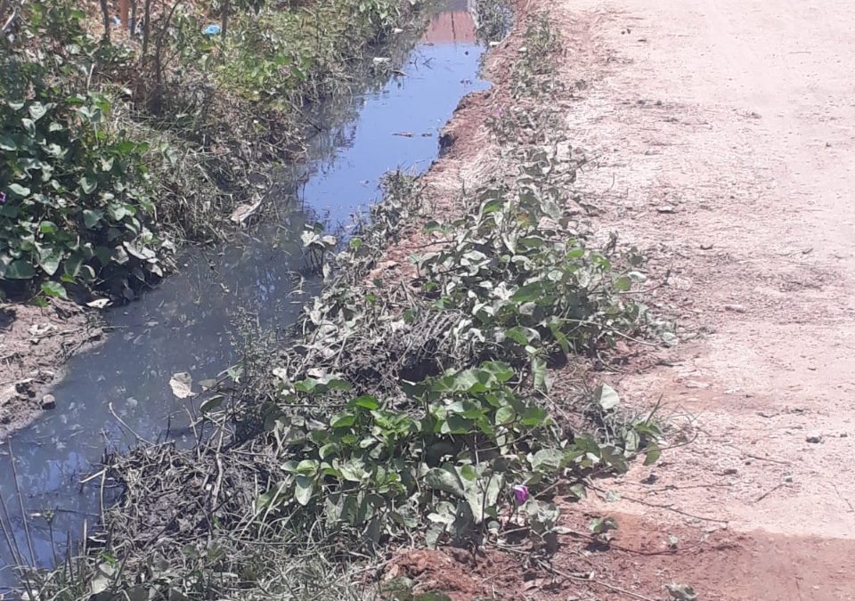 Moradores do bairro Areias II denunciam abandono e pedem melhorias