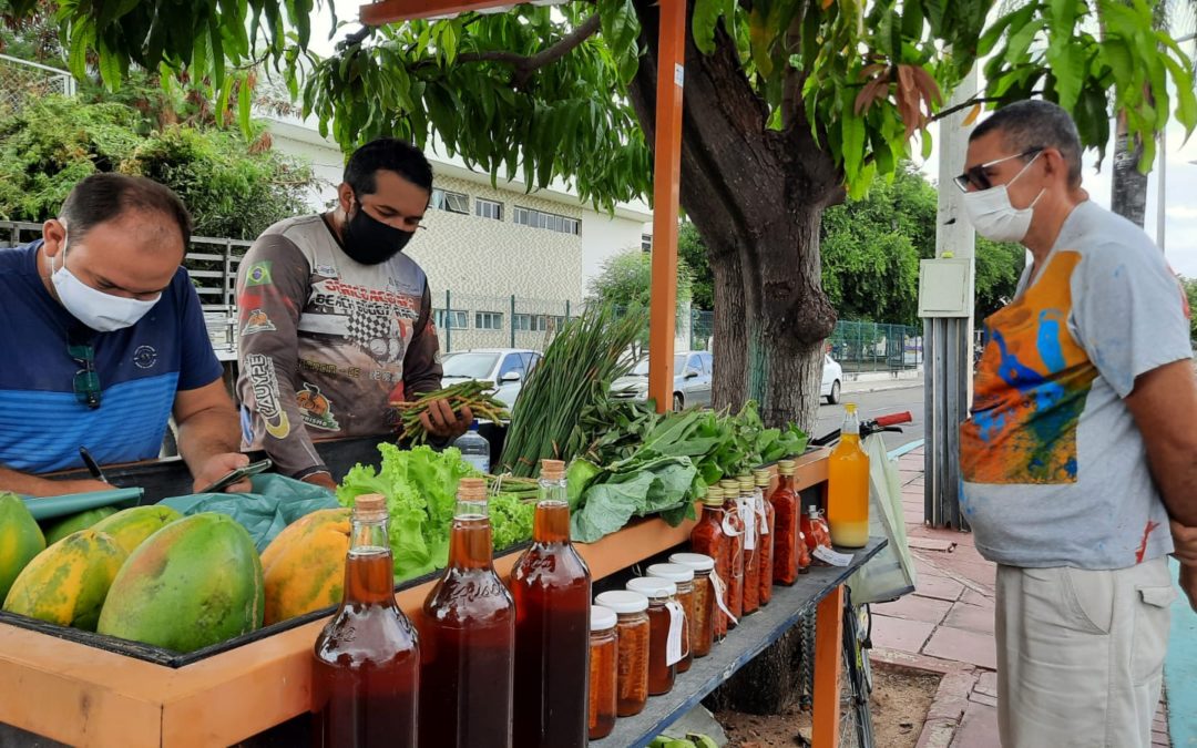 Produtos agroecológicos ao alcance de todos