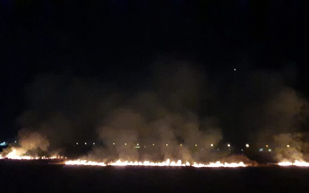 Incêndios destroem fauna e flora da APA da Lagoa da Bastiana