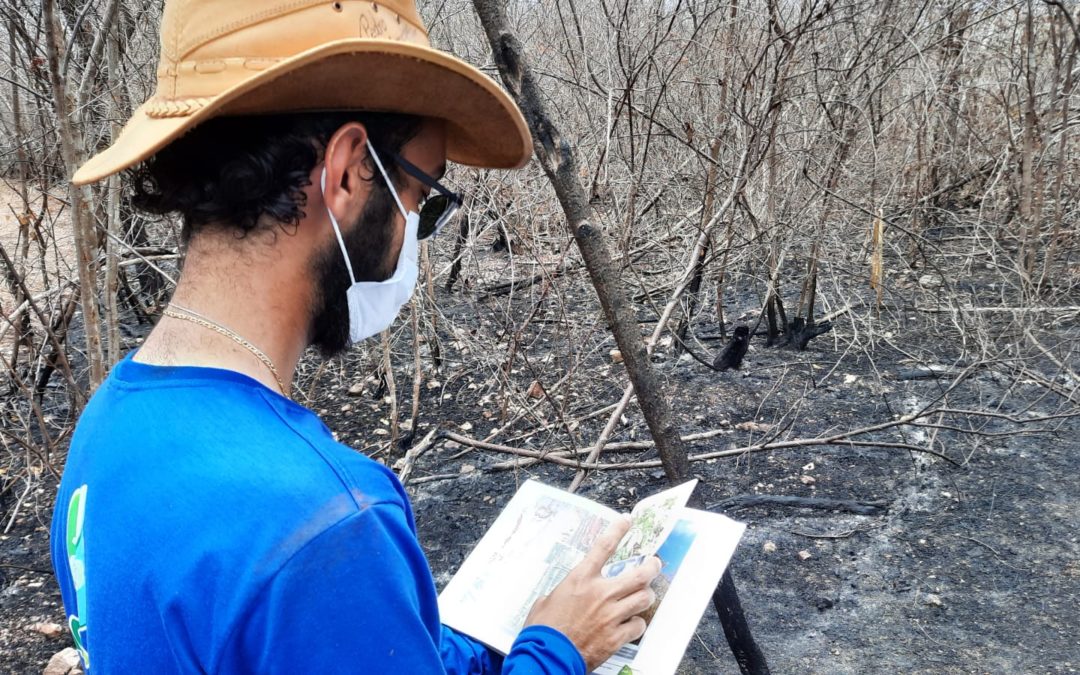 Incêndio atinge 100 hectares de vegetação nativa em Iguatu