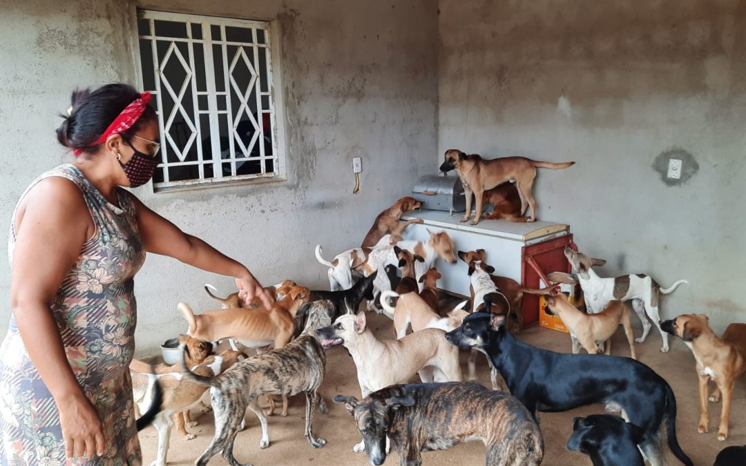 Com 41 cães sob sua tutela, Bete Ferreira divide o trabalho de costureira com a proteção de animais