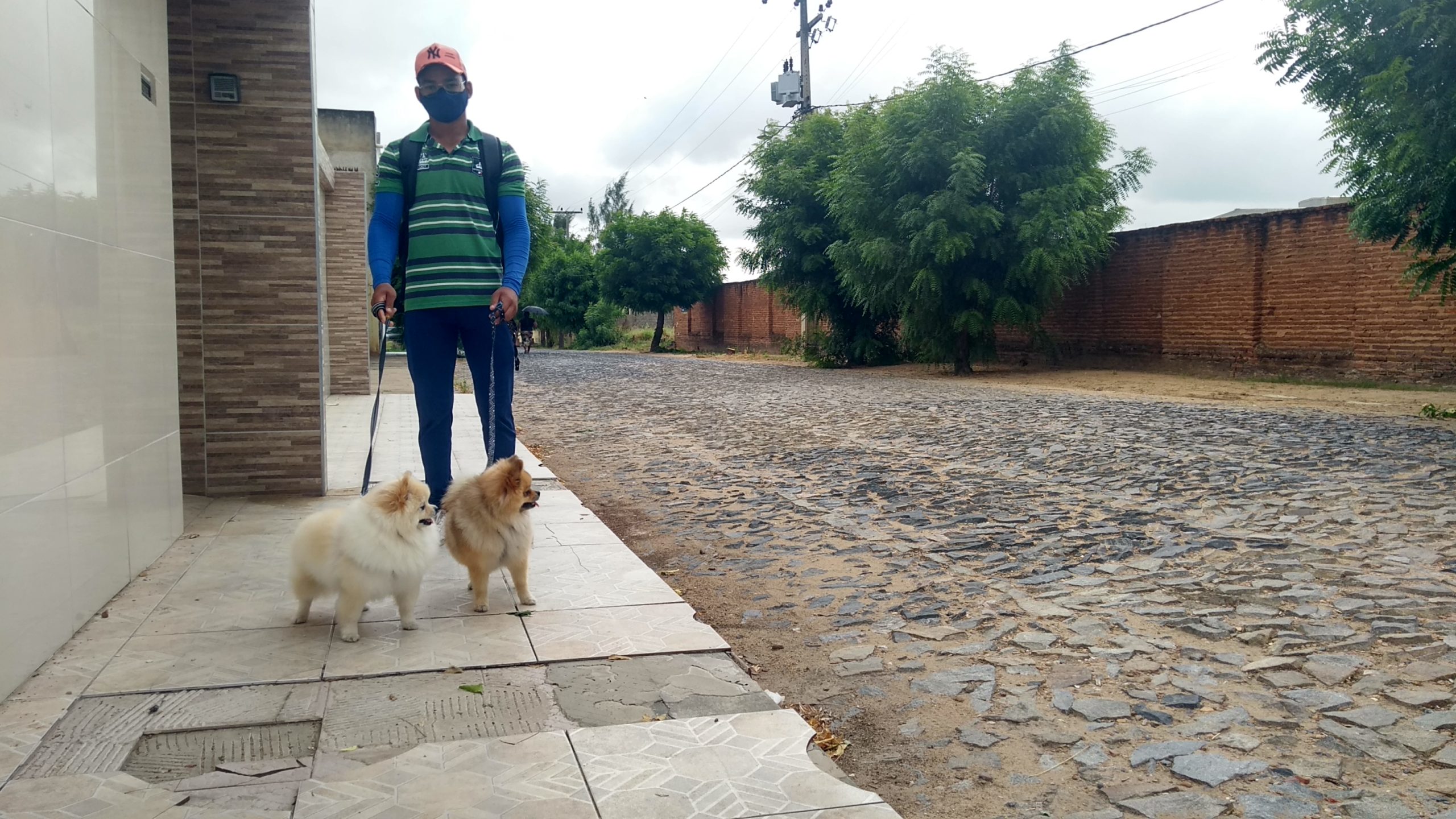 Cresce em Iguatu serviço de ‘passeador de cães’