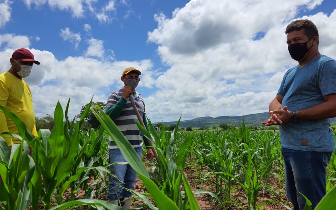 Março chega com boas expectativas de produção de sequeiro