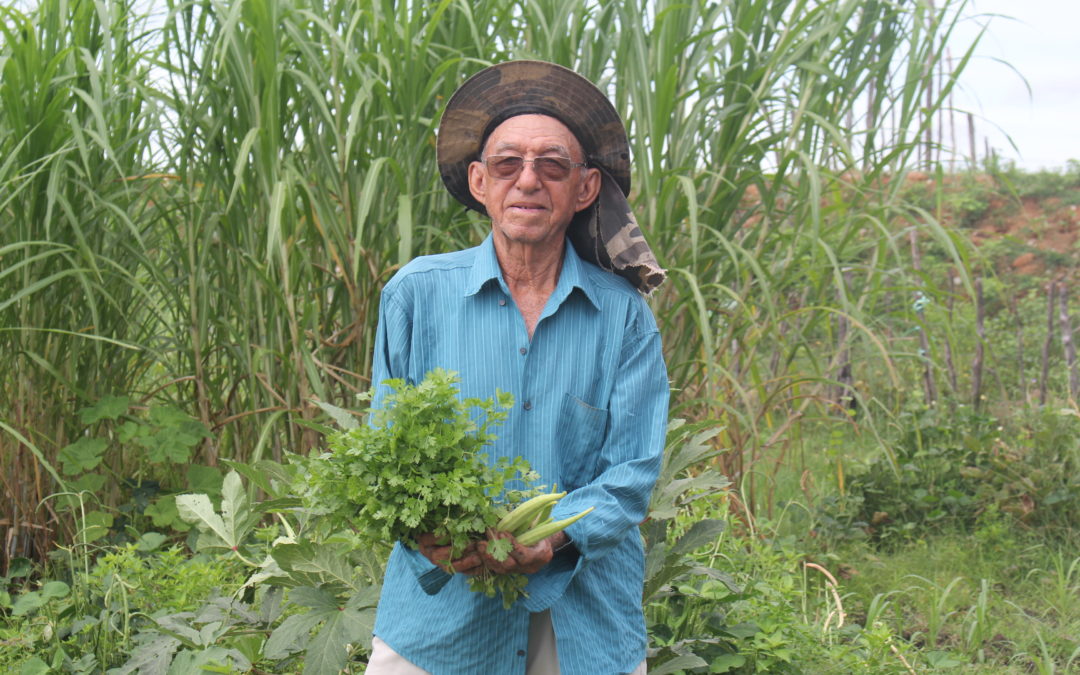 Agricultor de 86 anos trabalha diariamente produzindo verduras e frutas