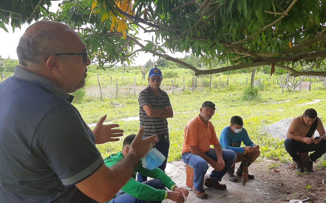 Técnicos e produtores participam de capacitação em sistemas agroflorestais