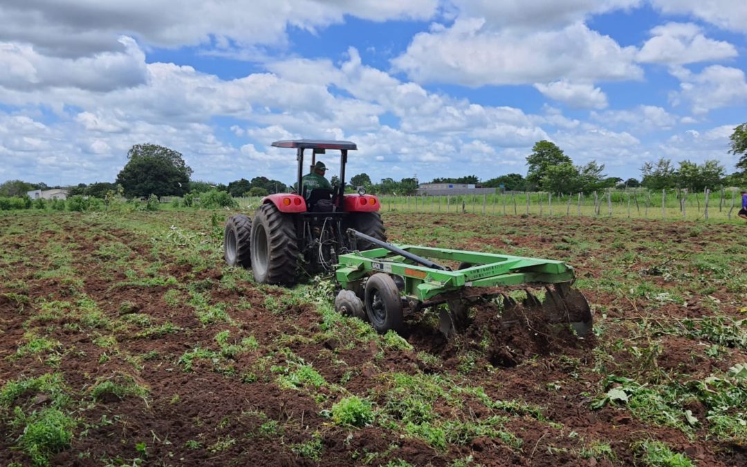 Programa já preparou mais de 1.000 hectares para plantio