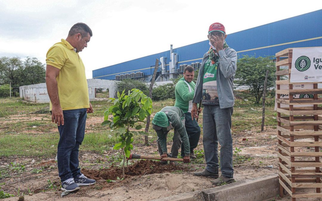 Programa planta mudas nativas em avenidas da cidade