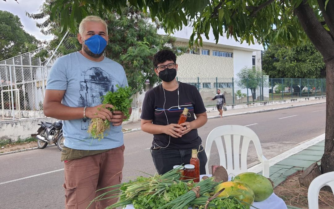 Balaio Agroecológico retoma venda de produtos orgânicos na Dário Rabelo