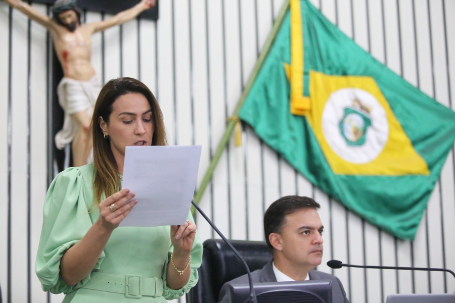 Deputados estão em recesso e retornam só em agosto, já em plena campanha eleitoral