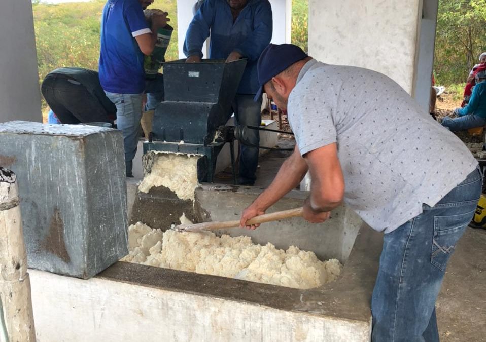 Famílias mantêm tradição na produção de farinha de mandioca