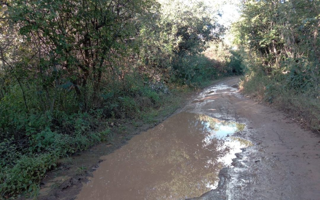 Moradores do sítio Grossos voltam a reclamar das estradas esburacadas