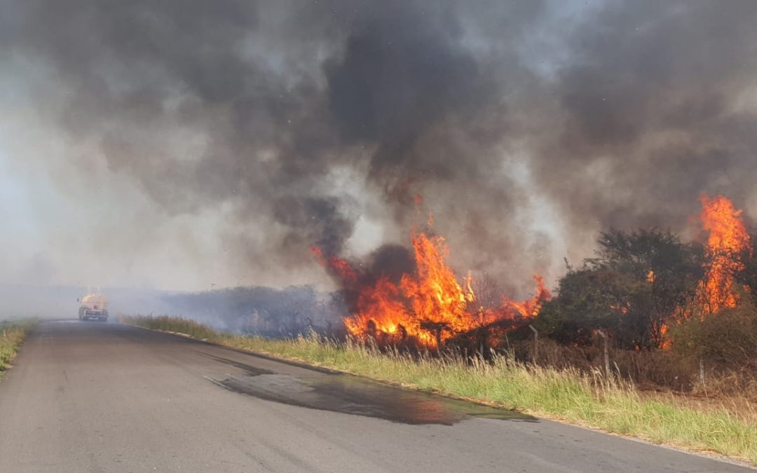 Incêndio florestal atinge mata nativa e pastagem no Gadelha