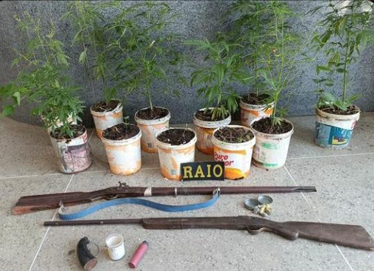 Suspeito é preso com plantação de maconha e armas na zona rural