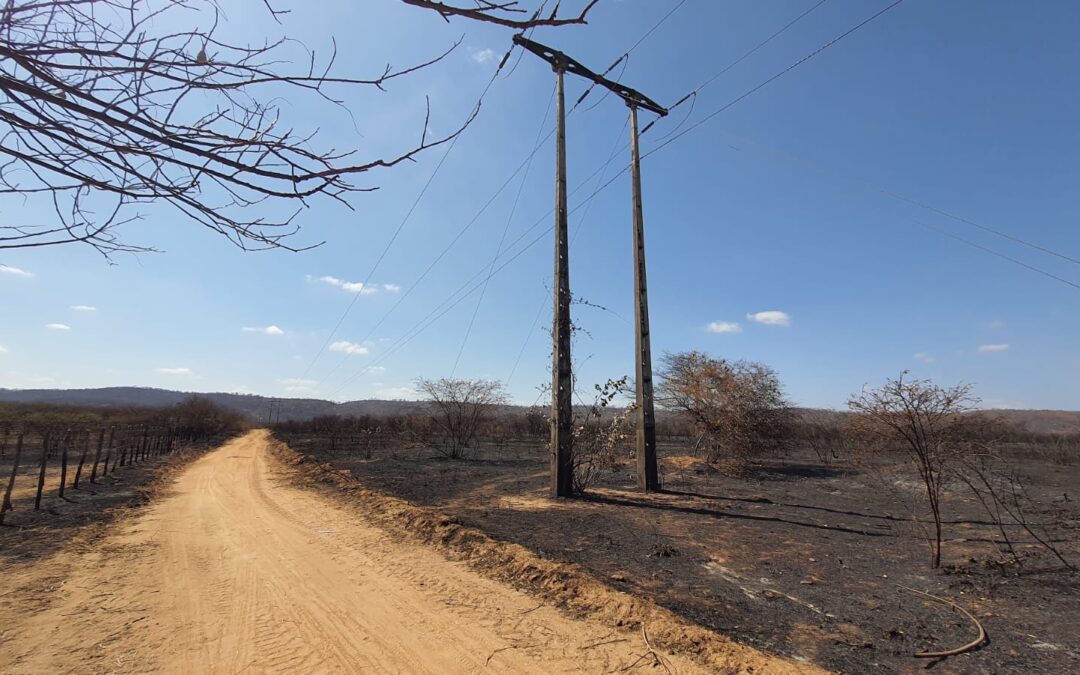 Moradores de áreas atingidas e movimentos ambientais mostram preocupação com incêndios