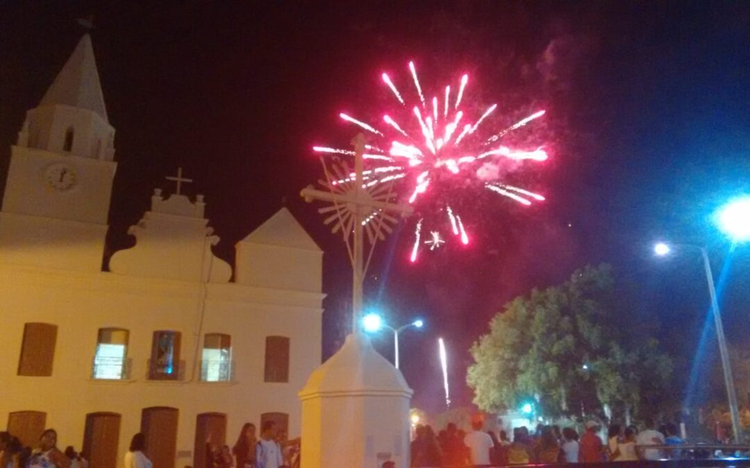 Fogos de artifício na virada do ano preocupam causa autista e animal