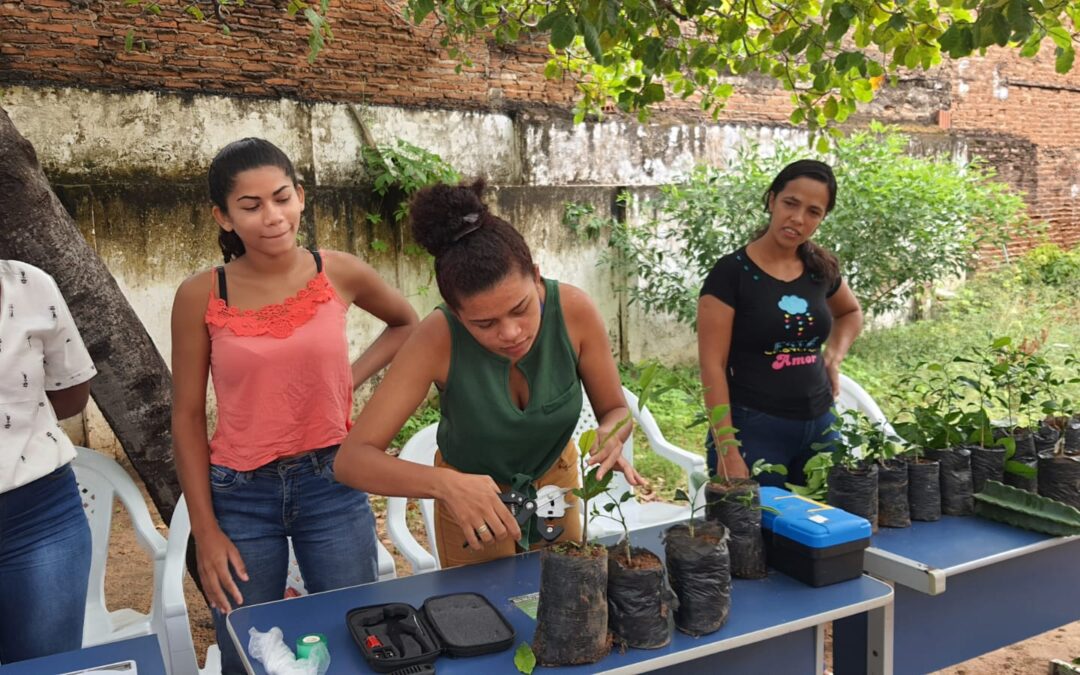 SDA promove cursos de capacitação