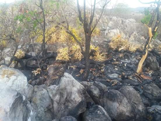 Comunidade de José de Alencar recebe instrução de prevenção de combate a incêndio florestal