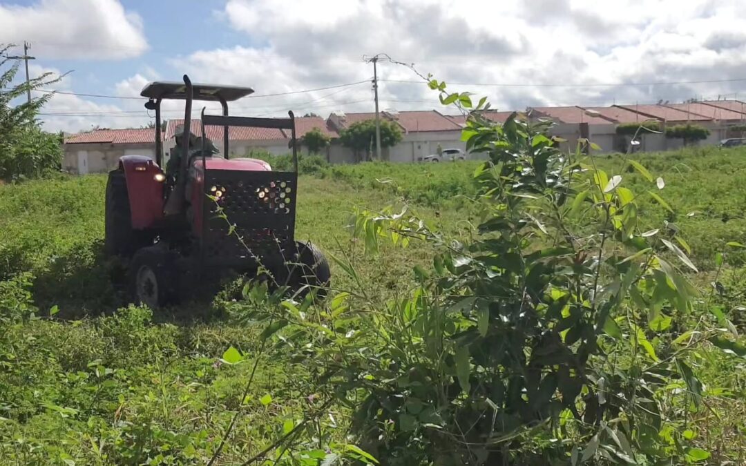 Ação ambiental movimenta bairro Fomento