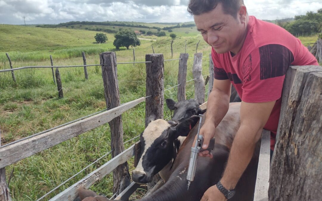 Lançada campanha contra febre aftosa em Iguatu