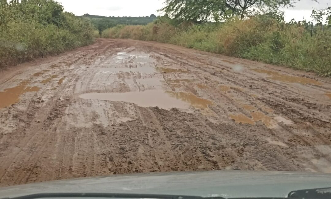 Usuários denunciam péssimas condições da estrada do Baú