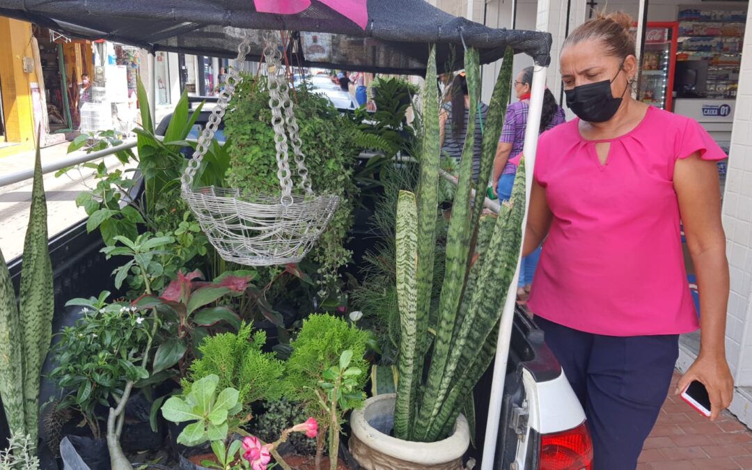 Sunamita Tavares vende plantas no Centro da cidade