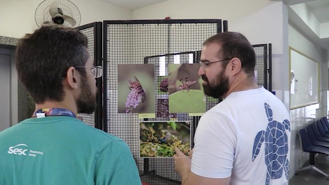 Riqueza da fauna inspira exposição fotográfica