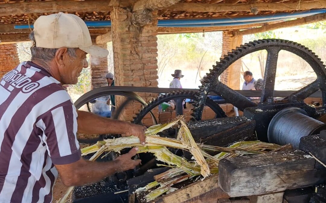 Família Clares mantém tradição de engenho de cana-de-açúcar em Suassurana